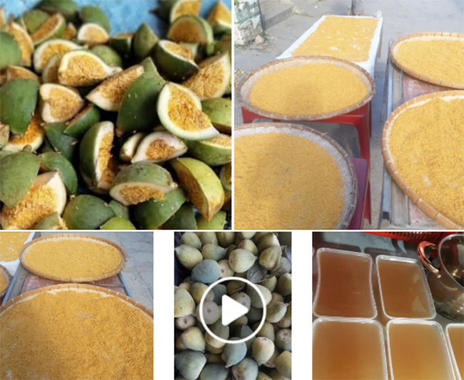 Loại quả mọc dại ở Việt Nam, xưa không ai ngó ngàng, nay 350.000 đồng/kg kiếm tiền ngon ơ-10