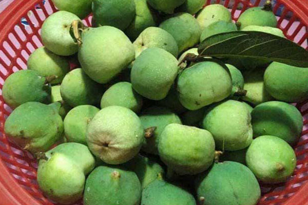 Nghề độc, lạ ở miền Tây, chỉ buôn bán mỗi cỏ dại mà đắt như tôm tươi-8