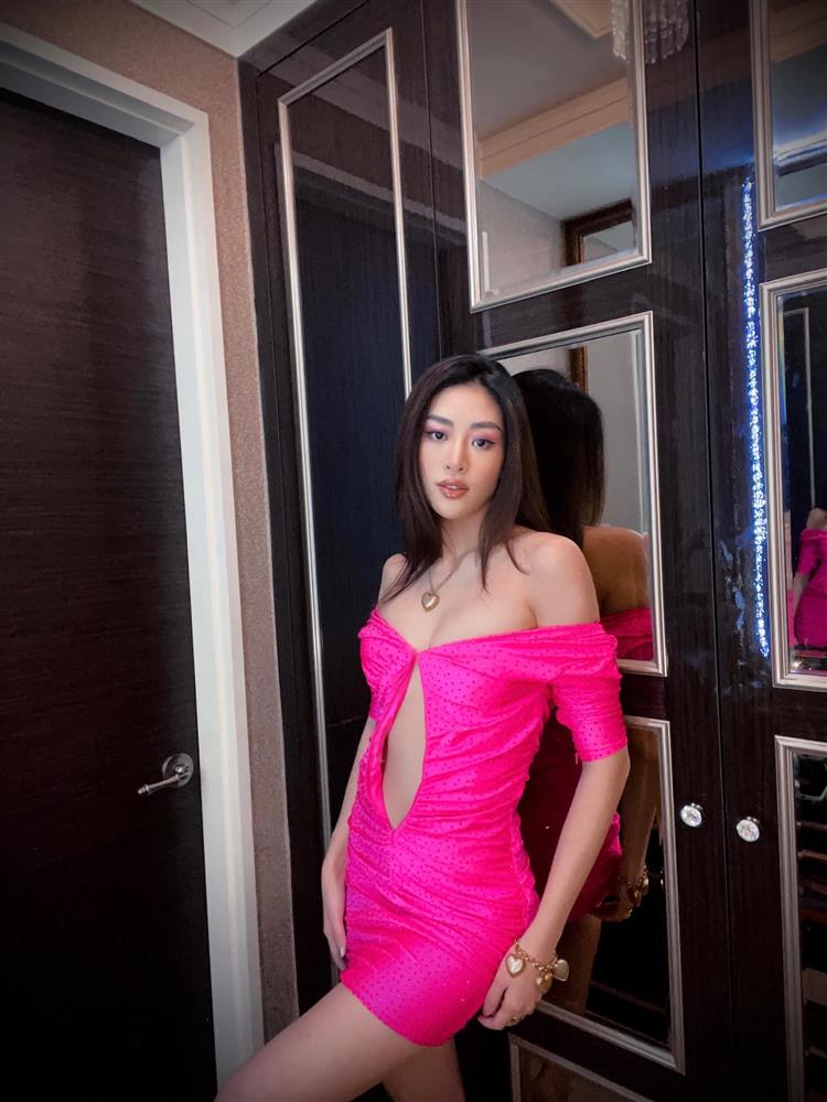 Bộ đầm quả thanh long của Khánh Vân tại Miss Universe: Từng nuốt chửng vòng 1, nay lại được phù phép sexy tột cùng-9