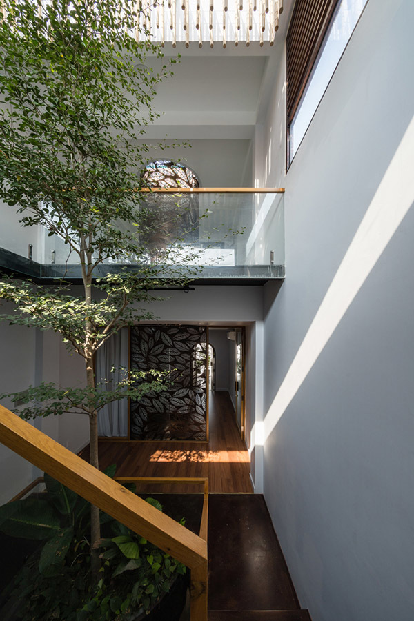 Nhà ống hướng Tây nhưng vẫn xanh mát của cô chủ mê làm vườn-10