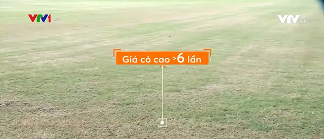 Nhiều sai phạm ở Khu liên hợp thể thao quốc gia Mỹ Đình: Giá cỏ gấp hơn 6 lần so với thực tế-1