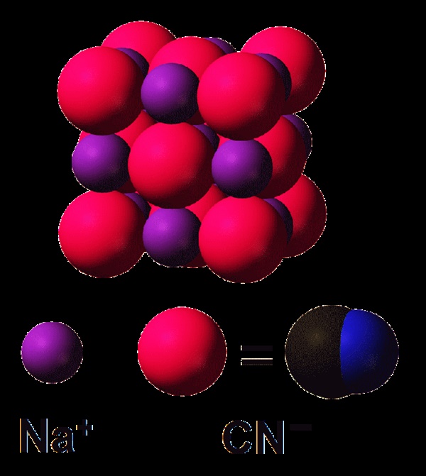 Chất độc được góa phụ đen 74 tuổi ở Nhật Bản sử dụng để giết chết hàng loạt người tình đáng sợ thế nào?-2