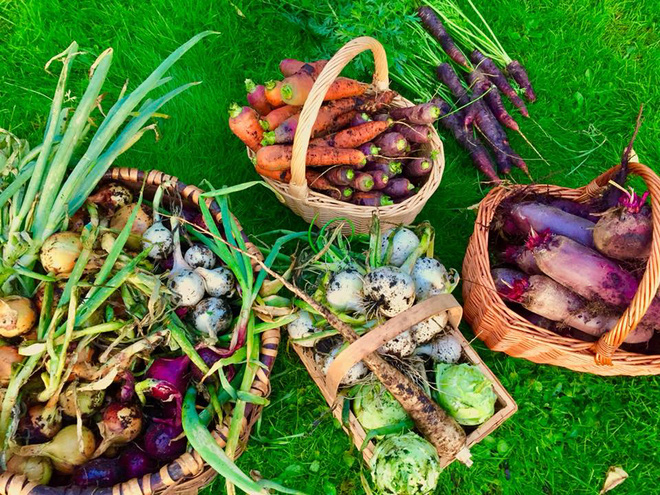 Khu vườn cổ tích của hai chàng trai có cùng sở thích trồng rau, nuôi gà-20