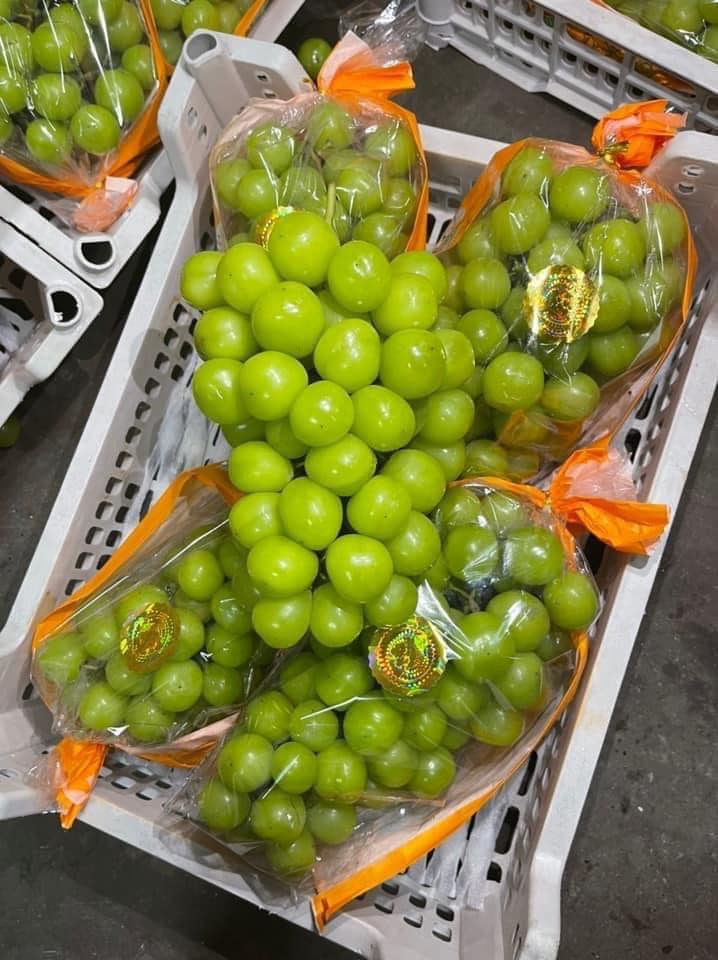 Nho sữa to tròn căng mọng bán trên chợ online tấp nập, giá rẻ hơn nhiều so với năm ngoái chỉ 99 ngàn/kg-2