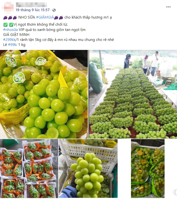 Nho sữa to tròn căng mọng bán trên chợ online tấp nập, giá rẻ hơn nhiều so với năm ngoái chỉ 99 ngàn/kg-5