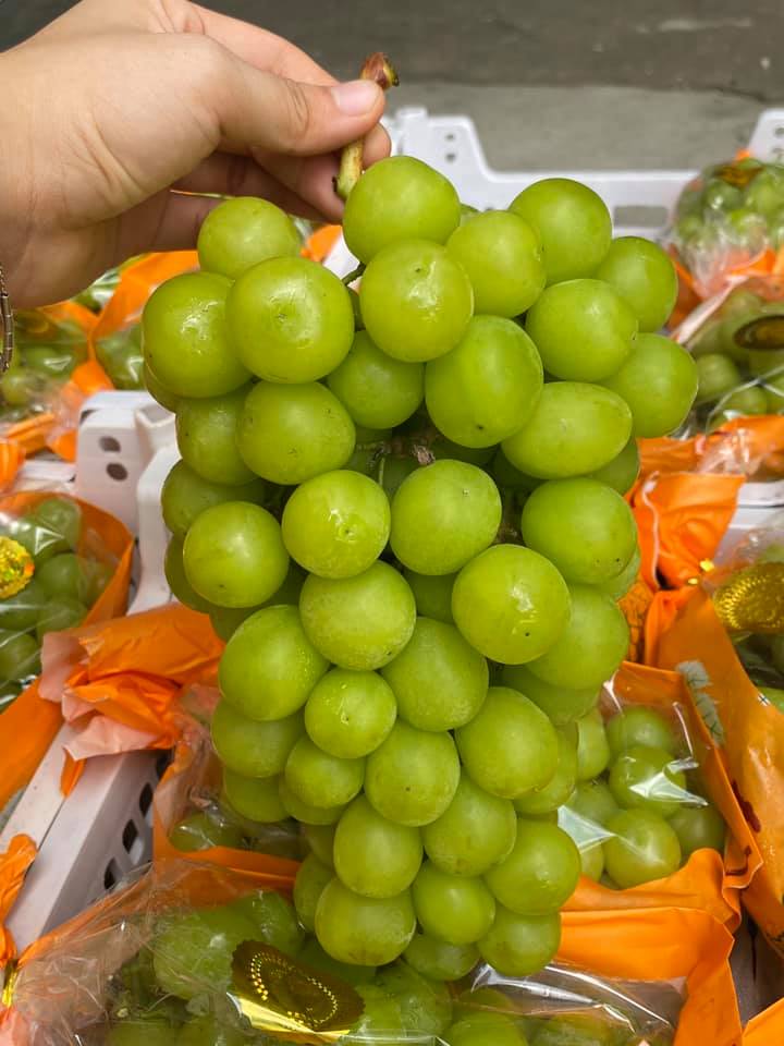 Nho sữa to tròn căng mọng bán trên chợ online tấp nập, giá rẻ hơn nhiều so với năm ngoái chỉ 99 ngàn/kg-6