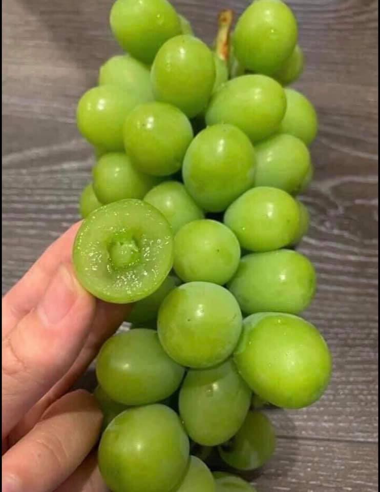 Nho sữa to tròn căng mọng bán trên chợ online tấp nập, giá rẻ hơn nhiều so với năm ngoái chỉ 99 ngàn/kg-9