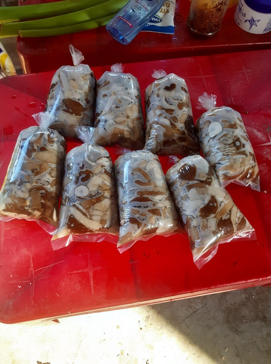 Kỳ lạ loại nấm có vị đắng ngắt nhưng lại là đặc sản giúp người dân hốt bạc mùa mưa-2