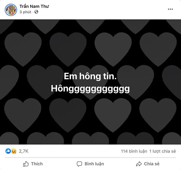 Sao Việt bàng hoàng trước tin Phi Nhung qua đời-6