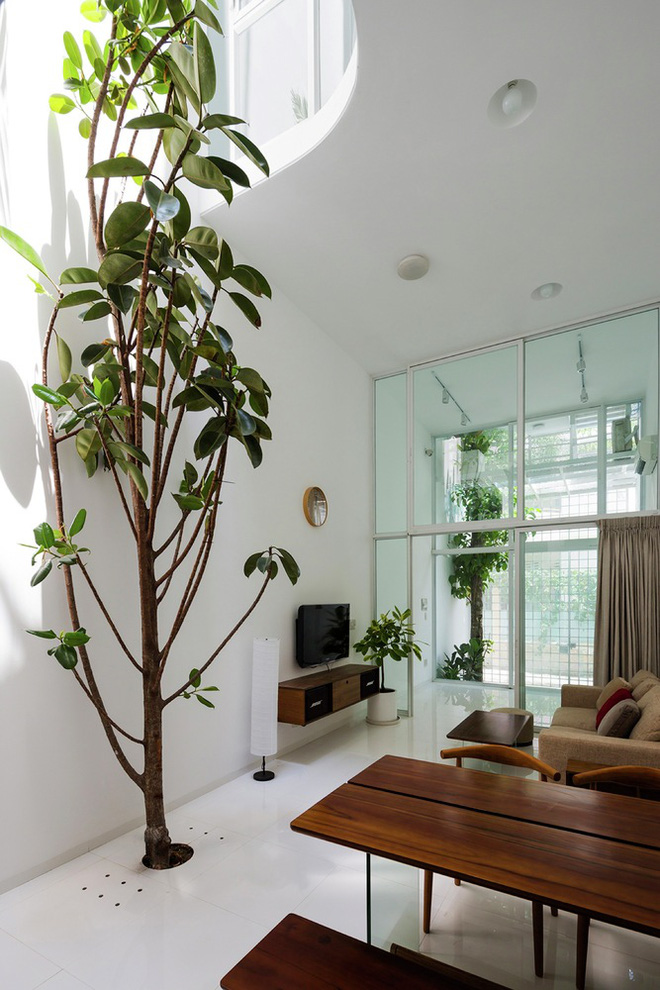 Gia đình trẻ ở Sài Gòn sống trong căn nhà 42m2 có giếng trời chữ D uốn cong cực đã, càng lên cao càng phải trầm trồ-3