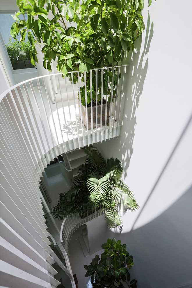 Gia đình trẻ ở Sài Gòn sống trong căn nhà 42m2 có giếng trời chữ D uốn cong cực đã, càng lên cao càng phải trầm trồ-7