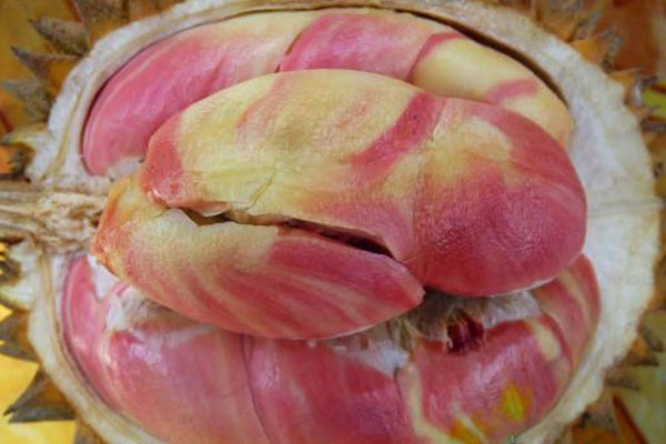 Đặt quả sầu riêng giá rẻ trên mạng, khách sốc nặng với thứ bên trong-3