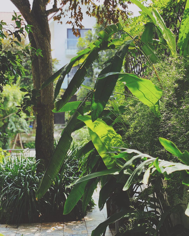 Bà chủ Hà thành khiến dân tình loá mắt với không gian sống xa hoa như cung điện, mỗi lần soạn đồ hiệu là kín cả góc nhà-15