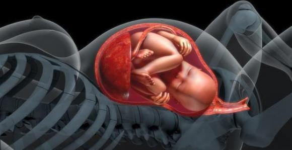 Cùng đủ tháng”, sự khác nhau giữa 37 tuần và 40 tuần sinh? Có thể kéo dài đến 40 tuần, bạn muốn sinh trước?-3