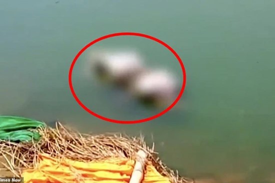 Vợ chết, chồng đòi cưới chị vợ nhưng không được liền thực hiện âm mưu man rợ với 4 đứa con, gây ra hiện trường ám ảnh