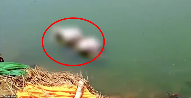 Vợ chết, chồng đòi cưới chị vợ nhưng không được liền thực hiện âm mưu man rợ với 4 đứa con, gây ra hiện trường ám ảnh-1