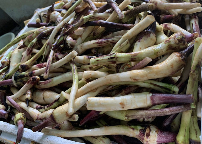 Món ăn nhà nghèo cứu đói 1 thời thành đặc sản đắt đỏ Hà Nội-1