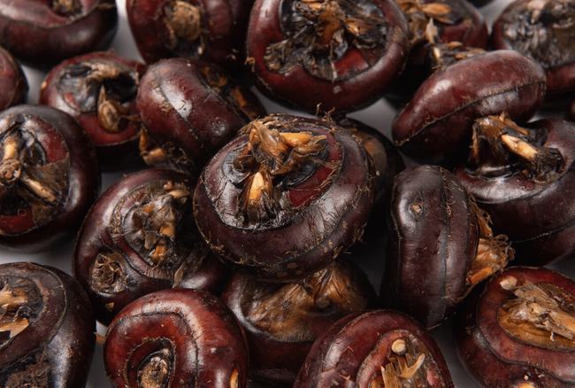 Mùa thu, hãy nhớ thường xuyên ăn 3 quả, 2 củ và 1 thịt để bổ sung dinh dưỡng, chế độ lành mạnh không thể bỏ qua-4