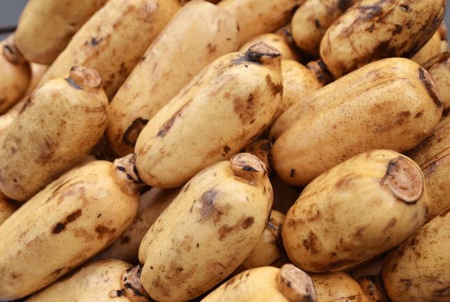 Mùa thu, hãy nhớ thường xuyên ăn 3 quả, 2 củ và 1 thịt để bổ sung dinh dưỡng, chế độ lành mạnh không thể bỏ qua-5