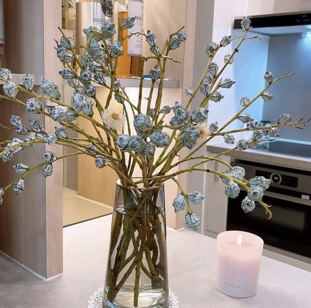 Loại hoa độc, lạ khiến chị em Sài thành mê mẩn, lùng mua cắm-2