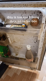 Sau 5 tháng trở lại Sài Gòn cô gái tá hỏa khi mở tủ lạnh ra, dân mạng đồng loạt khuyên cần làm một biện pháp-2