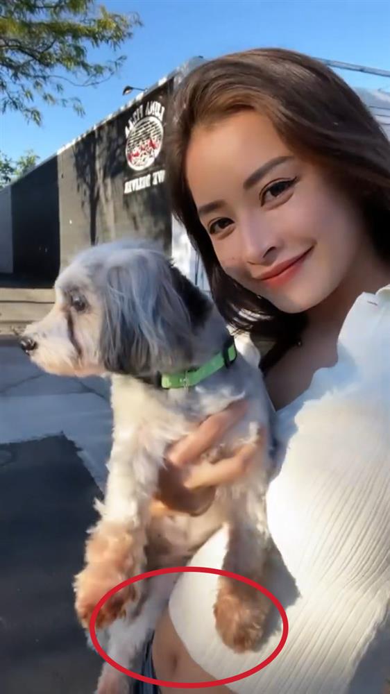 Netizen soi vòng 2 to bất thường của Chi Pu, còn dùng thủ thuật để che chắn bụng sau khi sang Mỹ?-1