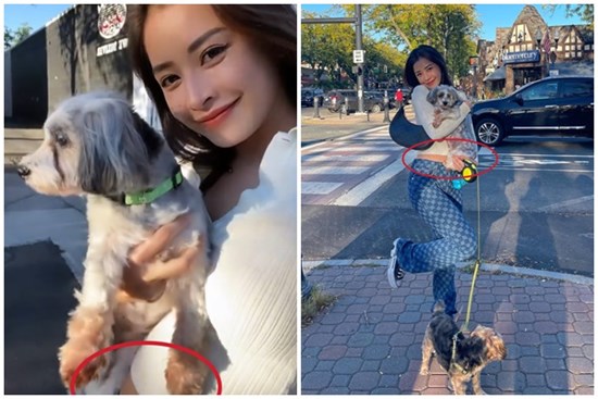 Netizen soi vòng 2 to bất thường của Chi Pu, còn dùng thủ thuật để che chắn bụng sau khi sang Mỹ?