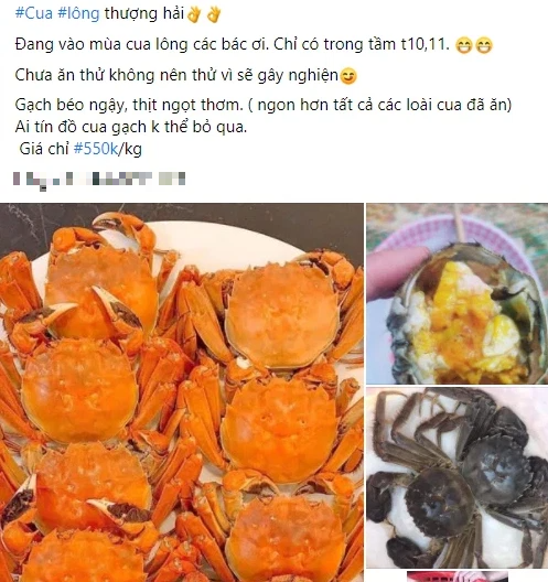 Loại cua nhà giàu giá rẻ bất ngờ bán đầy chợ mạng, tiểu thương tiết lộ sự thật-2