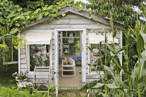 Có gì trong khu vườn của đại gia trái cây trên sân thượng?-15