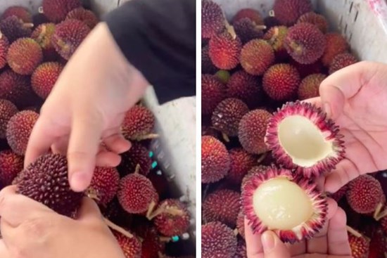 Loại quả gai góc kì lạ, bóc ra đã 