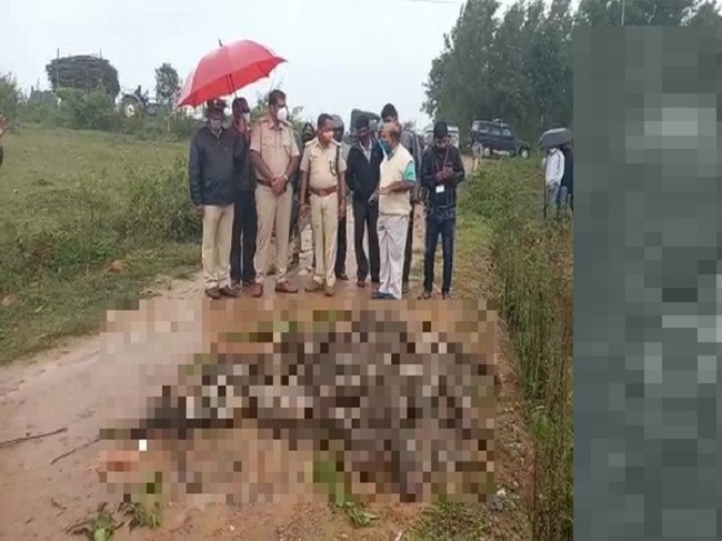 Phát hiện vài bao tải khả nghi chỏng chơ bên đường, người dân báo cảnh sát rồi phát hiện trọng tội tàn nhẫn-2