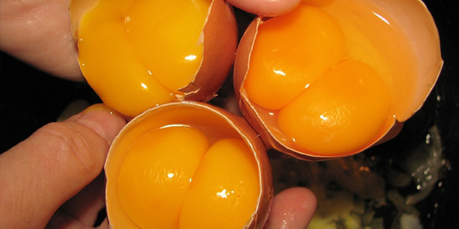 Xuất hiện trào lưu đắp mặt nạ trứng gà sữa tươi trên mạng xã hội Tiktok, chuyên gia đưa ra khuyến cáo-5