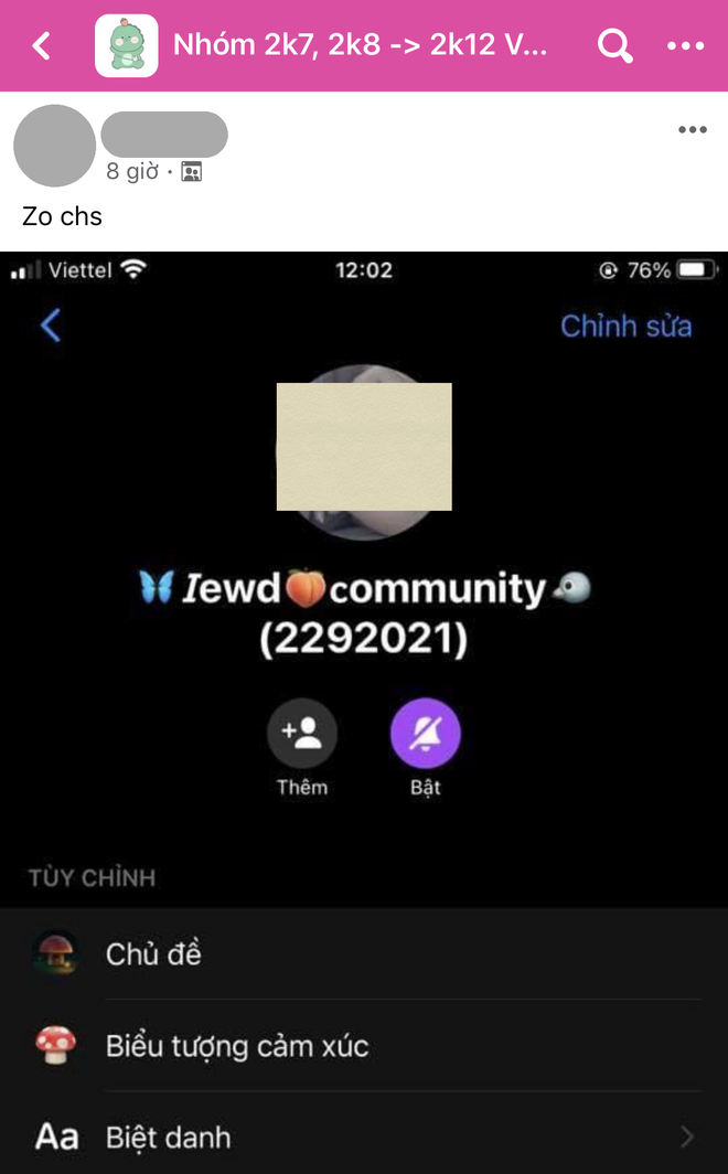 Sốc với Team 2k9 - group hơn 800k thành viên, đầy rẫy content 18+, thậm chí còn rủ nhau chat sex-21