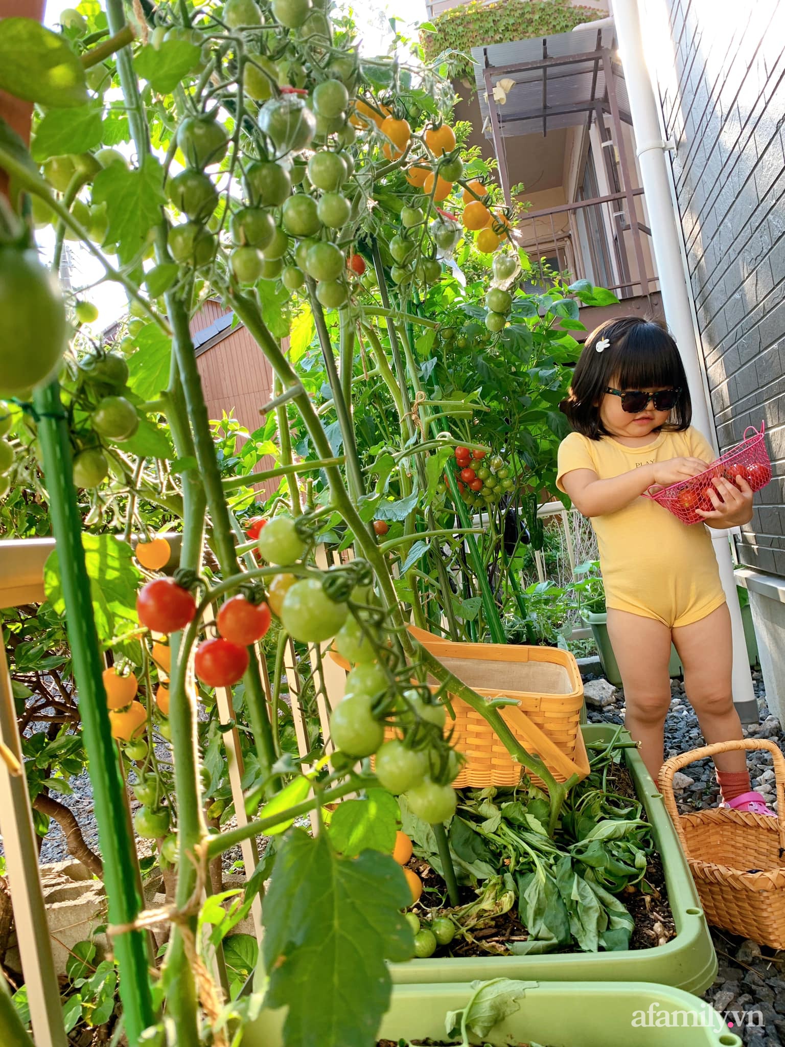 Tận dụng khoảng sân trước, mẹ Việt ở Nhật cải tạo thành khu vườn đẹp xinh dành tặng con gái-25