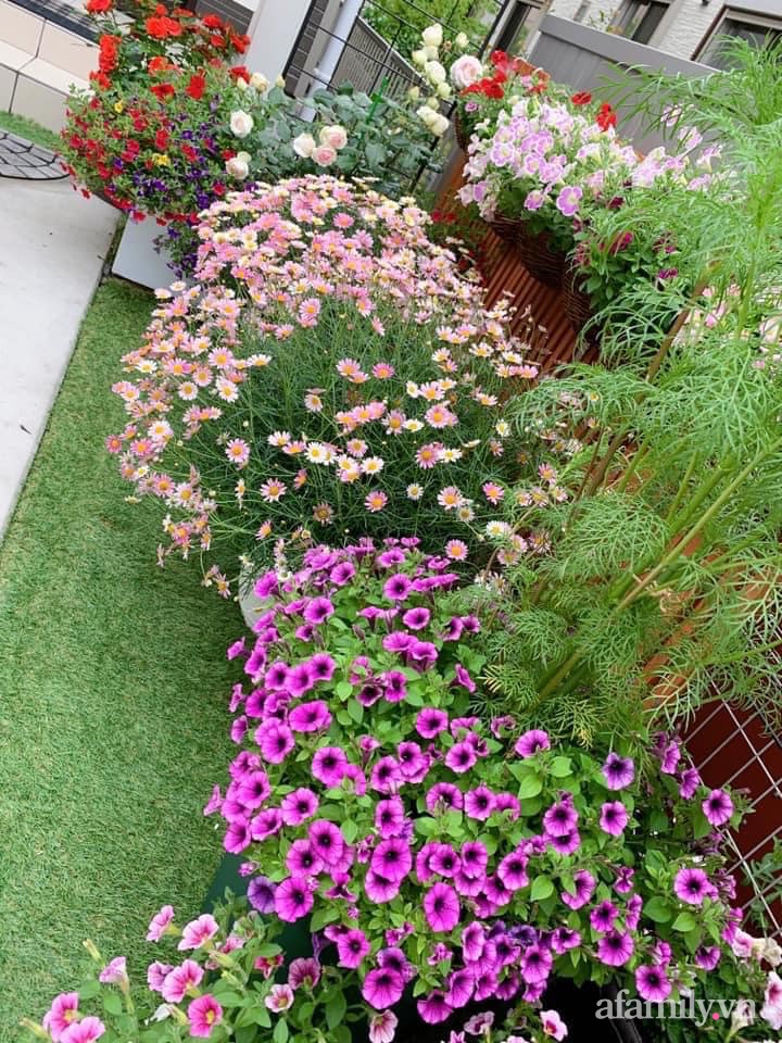 Tận dụng khoảng sân trước, mẹ Việt ở Nhật cải tạo thành khu vườn đẹp xinh dành tặng con gái-35