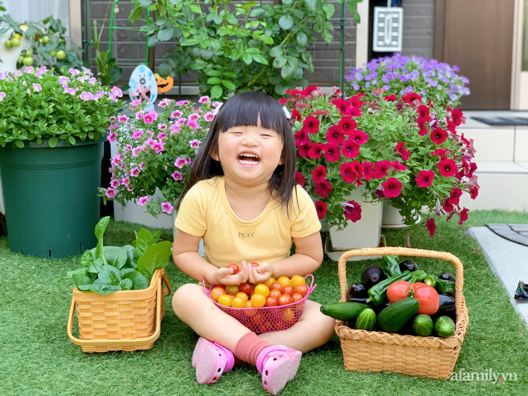 Tận dụng khoảng sân trước, mẹ Việt ở Nhật cải tạo thành khu vườn đẹp xinh dành tặng con gái-7