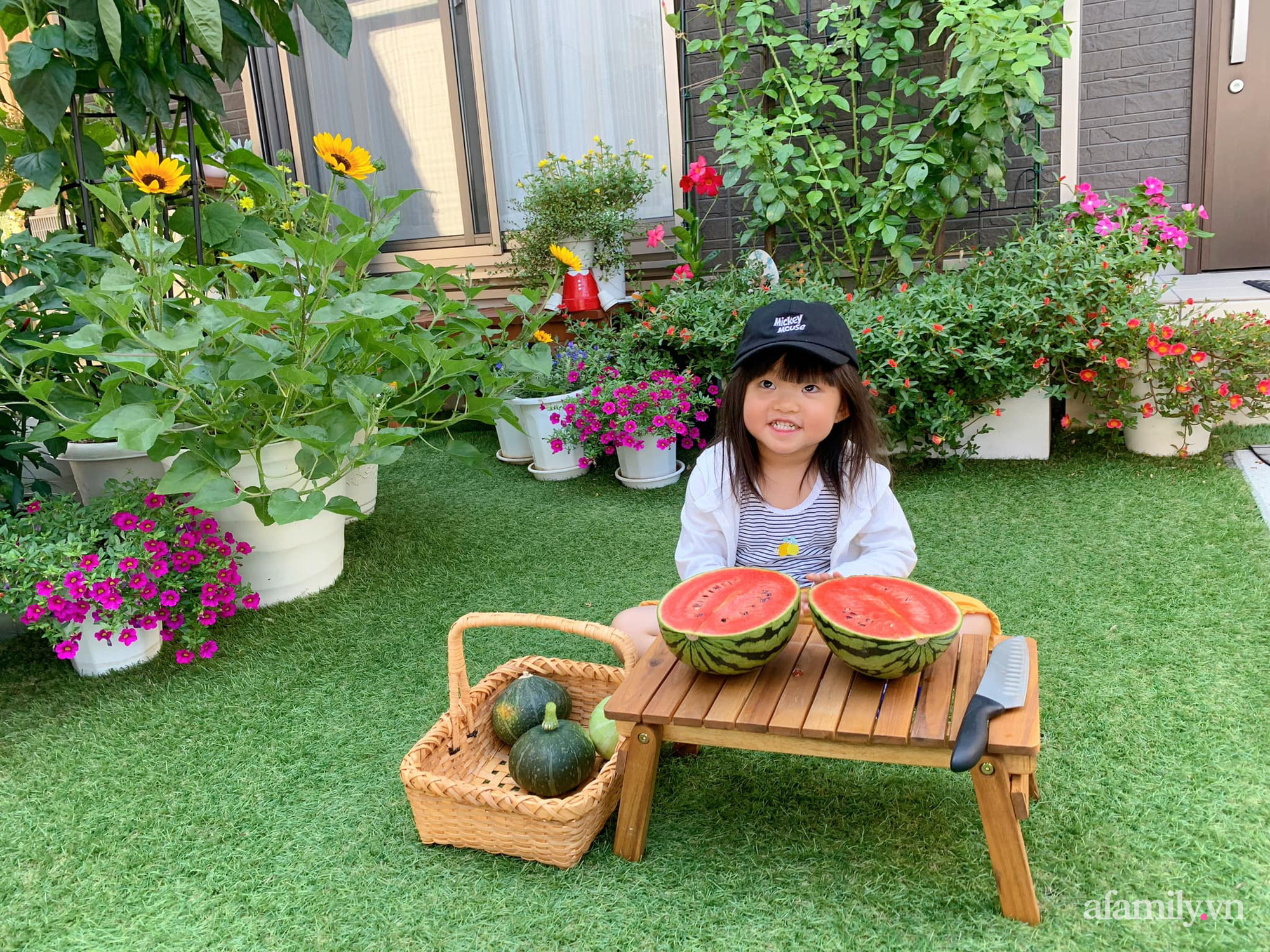 Tận dụng khoảng sân trước, mẹ Việt ở Nhật cải tạo thành khu vườn đẹp xinh dành tặng con gái-4