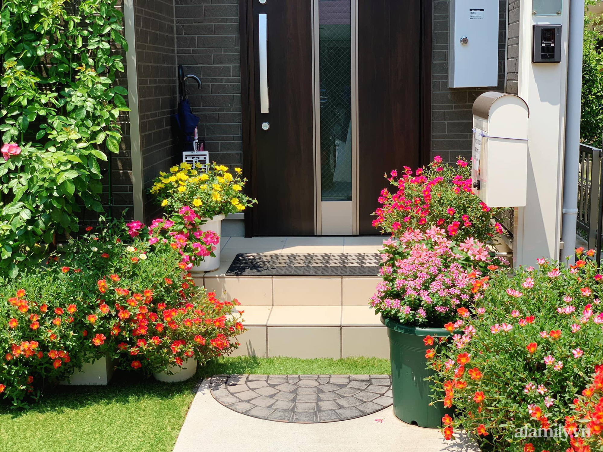 Tận dụng khoảng sân trước, mẹ Việt ở Nhật cải tạo thành khu vườn đẹp xinh dành tặng con gái-2