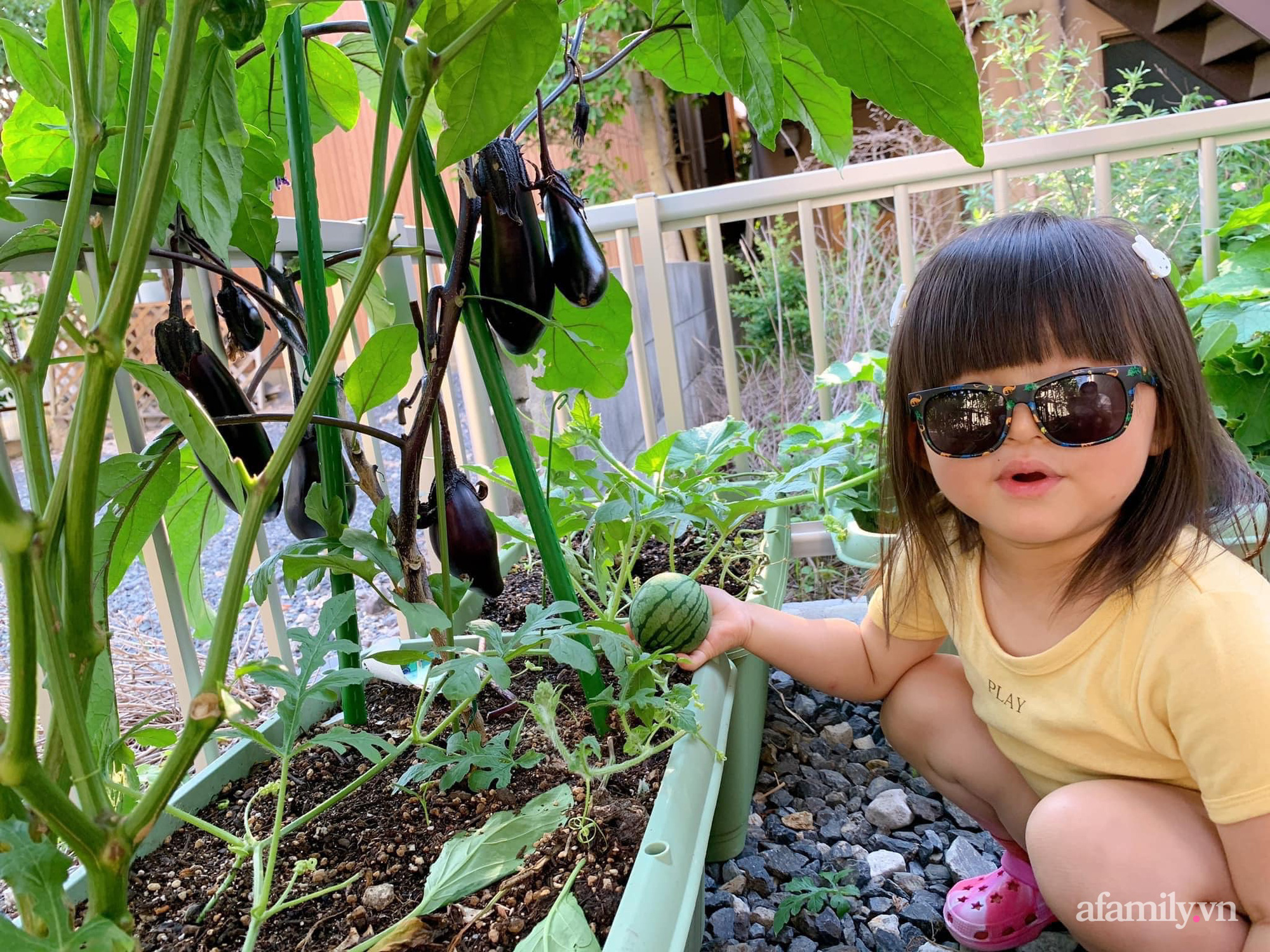 Tận dụng khoảng sân trước, mẹ Việt ở Nhật cải tạo thành khu vườn đẹp xinh dành tặng con gái-6