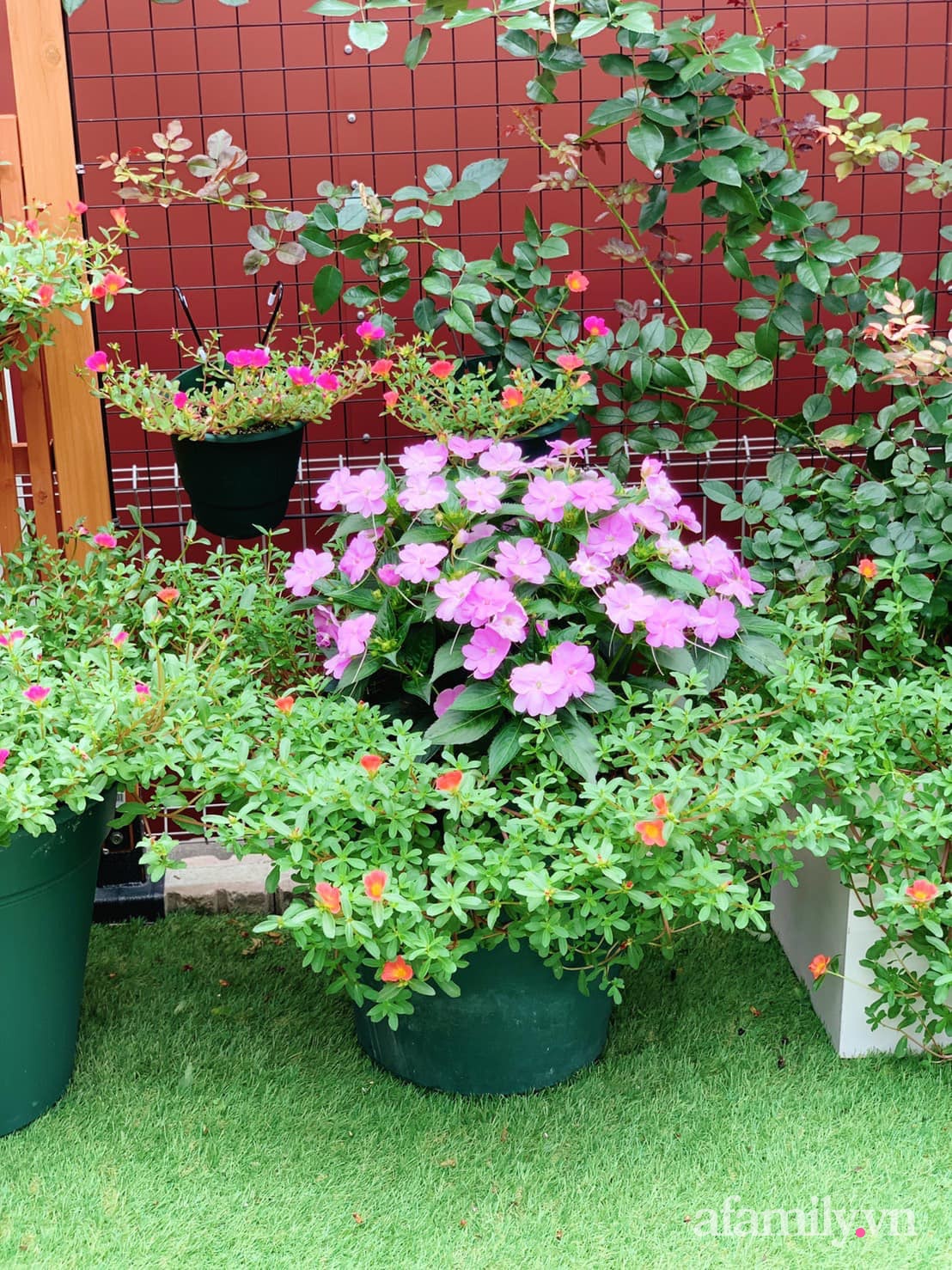 Tận dụng khoảng sân trước, mẹ Việt ở Nhật cải tạo thành khu vườn đẹp xinh dành tặng con gái-9