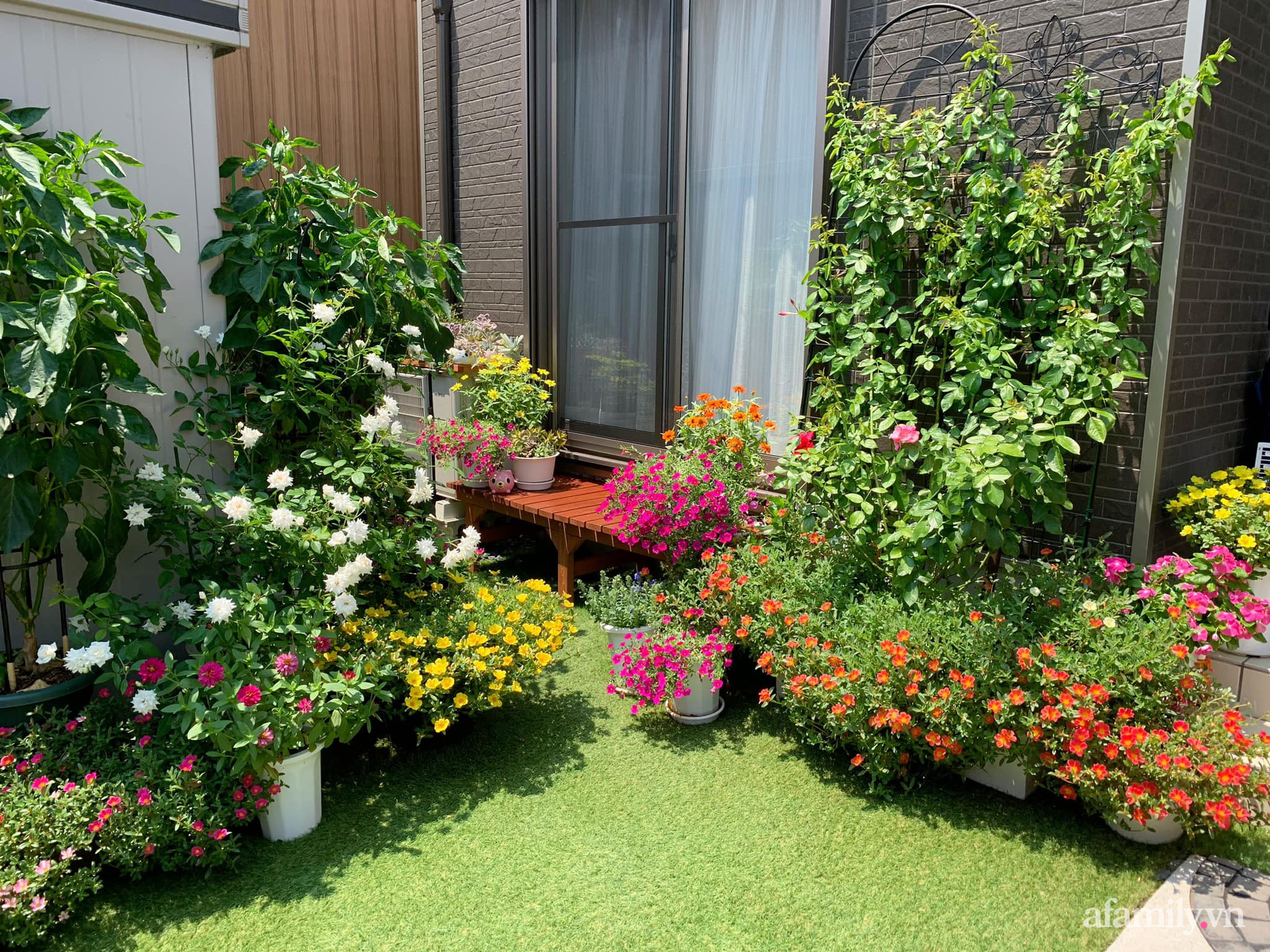 Tận dụng khoảng sân trước, mẹ Việt ở Nhật cải tạo thành khu vườn đẹp xinh dành tặng con gái-1