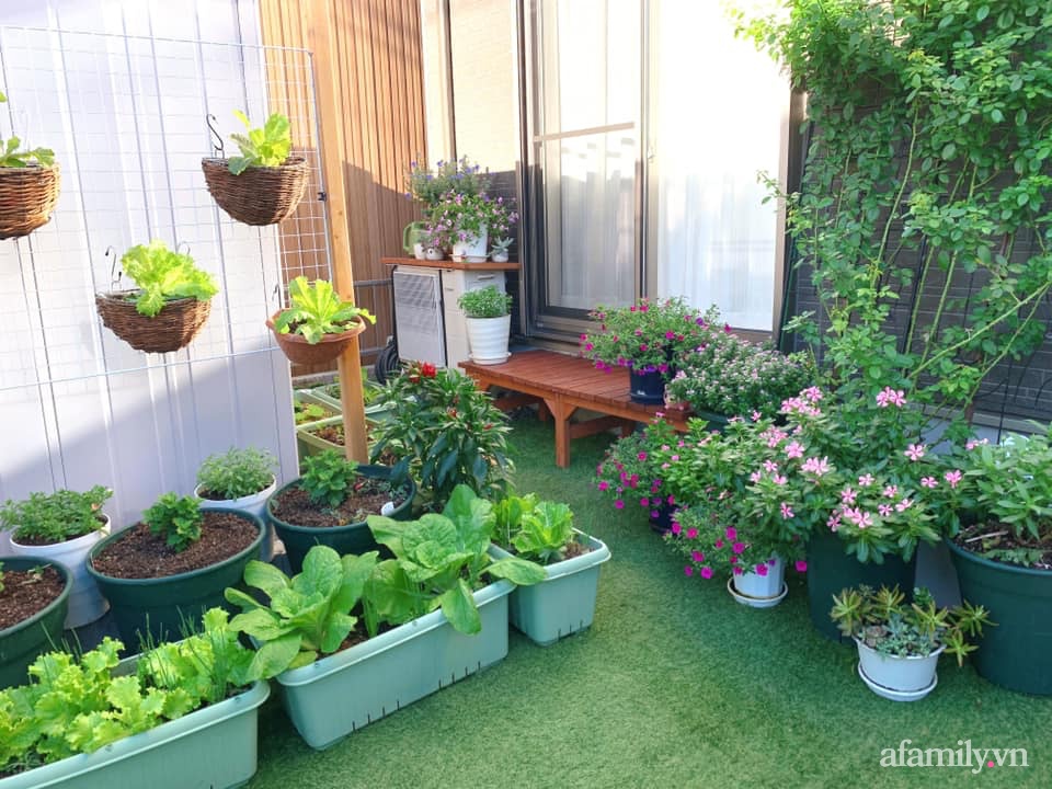 Tận dụng khoảng sân trước, mẹ Việt ở Nhật cải tạo thành khu vườn đẹp xinh dành tặng con gái-20