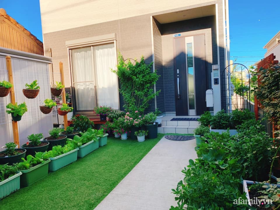 Tận dụng khoảng sân trước, mẹ Việt ở Nhật cải tạo thành khu vườn đẹp xinh dành tặng con gái-22