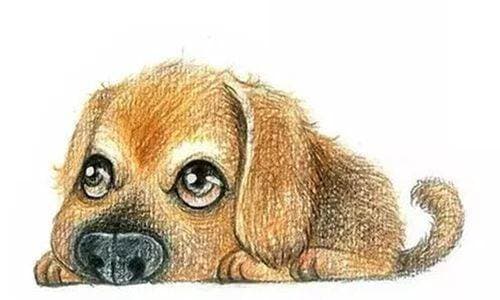 Từ ngày 3 tháng 10, Thần của sự giàu có đi qua, 6 con giáp sẽ gặp vận may, tài lộc sung túc-4