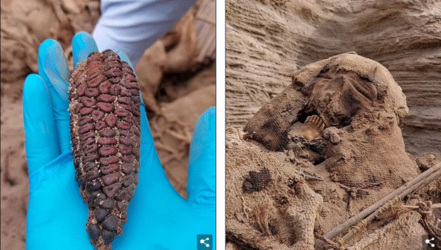 Đào đường ống dẫn khí, công nhân bất ngờ phát hiện khối kì dị dính chặt vào nhau, chuyên gia đến nơi liền thảng thốt kho tàng vô giá”-3