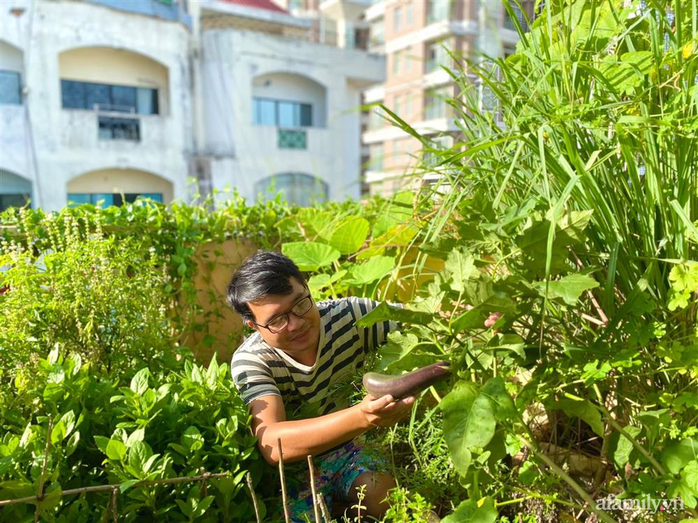 Sân thượng 20m² xanh mướt có đủ rau, hoa, góc thưởng trà thư giãn ở Sài Gòn-2