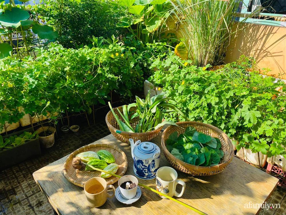 Sân thượng 20m² xanh mướt có đủ rau, hoa, góc thưởng trà thư giãn ở Sài Gòn-4