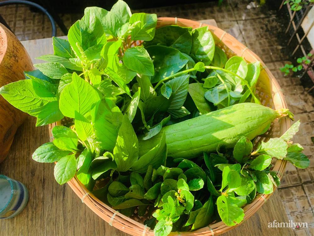 Sân thượng 20m² xanh mướt có đủ rau, hoa, góc thưởng trà thư giãn ở Sài Gòn-14
