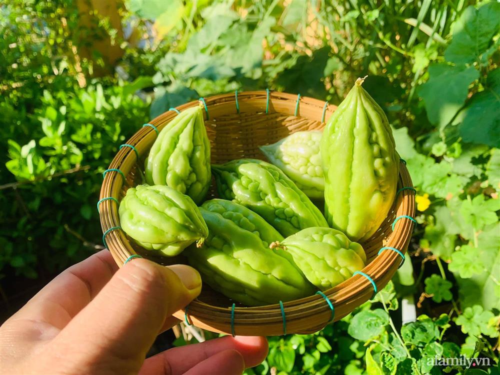 Sân thượng 20m² xanh mướt có đủ rau, hoa, góc thưởng trà thư giãn ở Sài Gòn-17