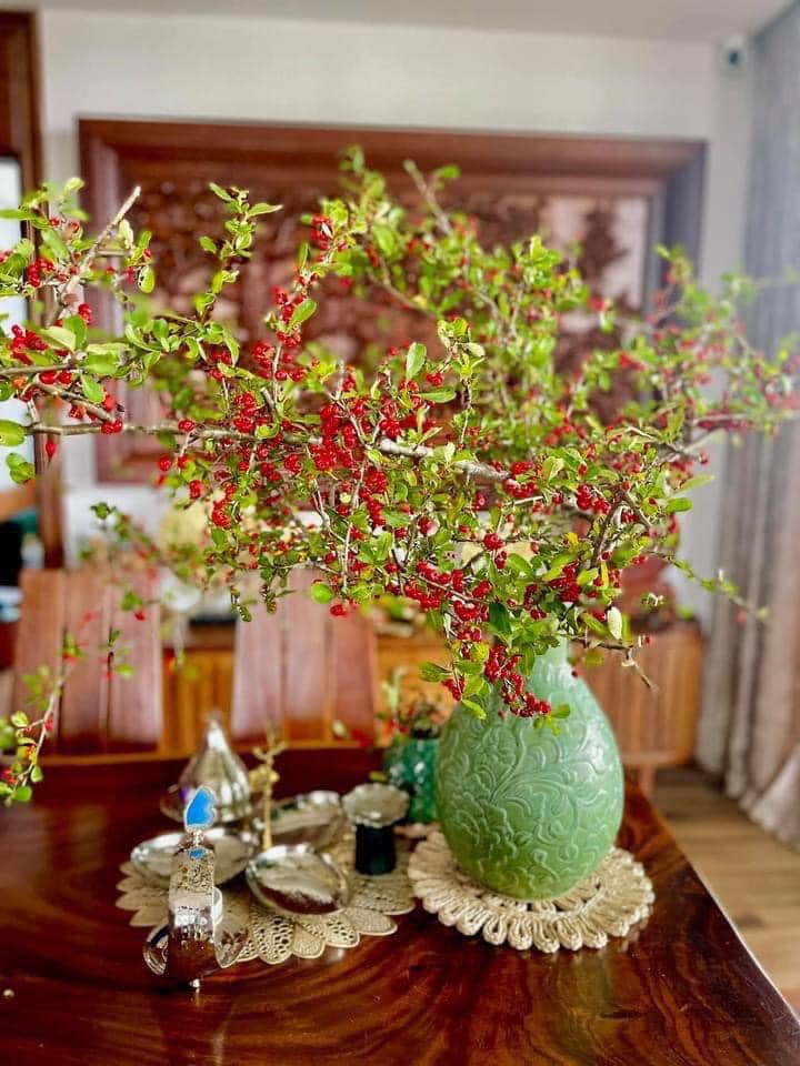 Rộ cơn sốt cắm cherry rừng giá 150.000 đồng được 5 cành lá và quả sai trĩu, ai cũng phải thốt lên: rẻ mà đẹp-7